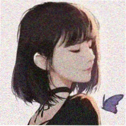 罗盘论坛船员头像：海鸟剪影